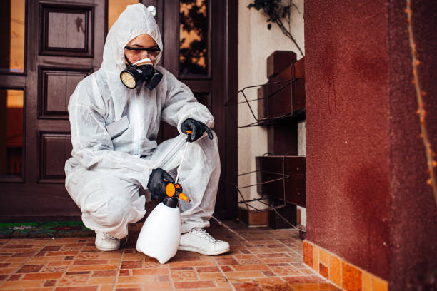 Reliable Wasp Removal contractor in Lafayette, OR by Show Me Pest Control
